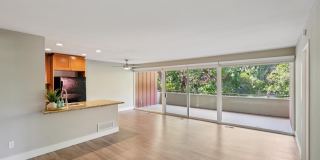Bay Tree Gallery 38