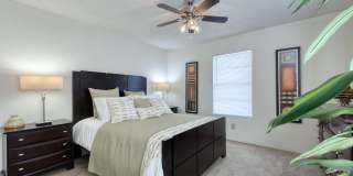 Broadstone Medical Gallery 21