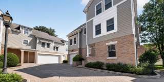88 Maple Tree Avenue Gallery 2