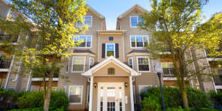 The Point at Still River Gallery 17