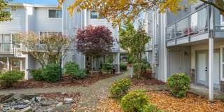 Terra Verde Gallery 27