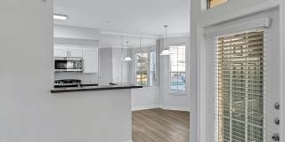 The Palazzo Apartments Gallery 18