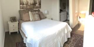 1405 W Street Northwest 401 Gallery 15