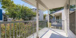 Rise Fossil Creek Gallery 82