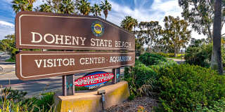 Light and Bright Home in Dana Point Near Doheny Beach! Gallery 26