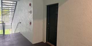 785-1  Oakleaf Plantation Parkway unit 123 Gallery 4