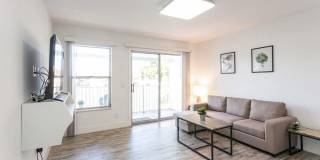 275 Cypress Point Drive Gallery 2