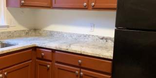 4 BR 3 BATH in Cedar Creek! Gallery 5