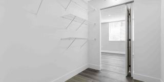 Coral Vista Gallery 57