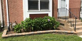 3064 WINTER PINE Court Gallery 2
