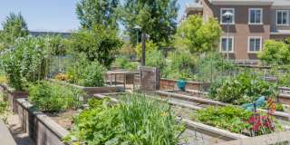 The Apartment Collection at Bay Meadows Gallery 35