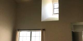 373 Fantail Loop Gallery 13
