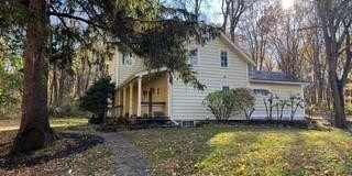 43 Mcmanus Gallery 1
