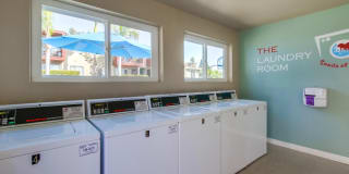 Mesa Vista Gallery 12