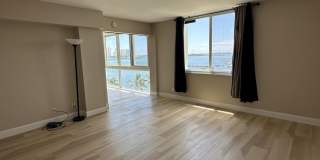 301 Lake Shore Drive Gallery 11