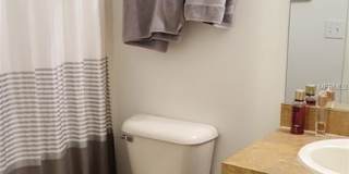 15702 Fishhawk Falls Dr Gallery 21