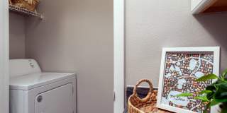 Elevate 155 Gallery 5