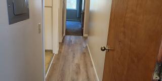 1970 Bush Street 1970 Bush Street Gallery 13