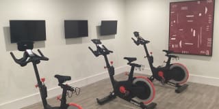 Fox & Hounds Gallery 21