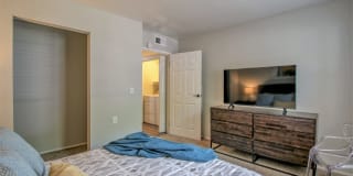 Muse Apartments Gallery 20