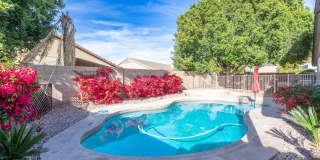 3128 W Adobe Dam Road Gallery 24