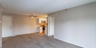 SpringBrook Gallery 12