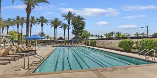 359 Desert Holly Drive Gallery 41