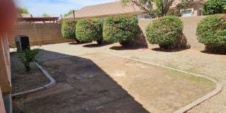 Gilbert location Gallery 6