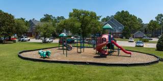 The Falls and Woods of Hoover Gallery 20