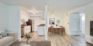 The Harlow Gallery 4