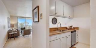 3331 Shelter Creek Ln Gallery 2