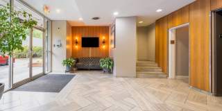 Diplomat Gallery 13