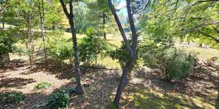 11321 CLASSICAL Lane Gallery 59