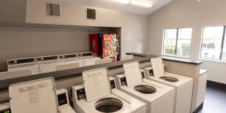 Greenback Gardens Gallery 35