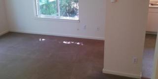 (560) 21st Street Duplex - 2 Bedroom / 2 Bathroom Gallery 4
