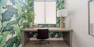 Solara Vista Gallery 32