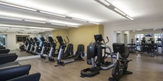 Avalon Towers on the Peninsula Gallery 24