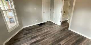 *August 2028* 5 Bedroom house 1 block off Kirkwood FULLY RENOVATED Gallery 10