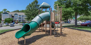 Bradford Park Gallery 8