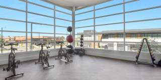 Avalon Lowry Gallery 42