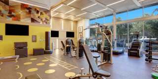 The Linden Gallery 17