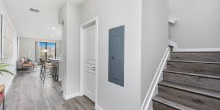 Pines Garden at City Center Gallery 11