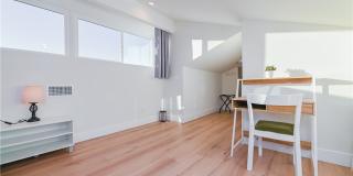 15 Camphor S Gallery 21