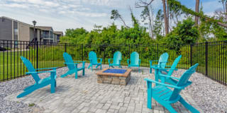 The Lory of Panama City Gallery 1