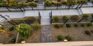 1482 Upland Sandpiper Street Gallery 29