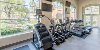 Bloom Apartment Homes Gallery 45