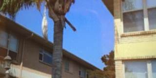 215 Opal Street Gallery 1