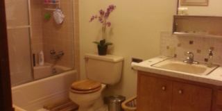 3 Bd/2 Ba Spacious home on Sunnyside Hill! 3 Bd/2 Ba Spacious home on Sunnyside Hill! Gallery 6