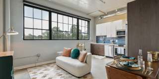 The Carousel Gallery 45