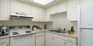 Imperial Palms Gallery 11